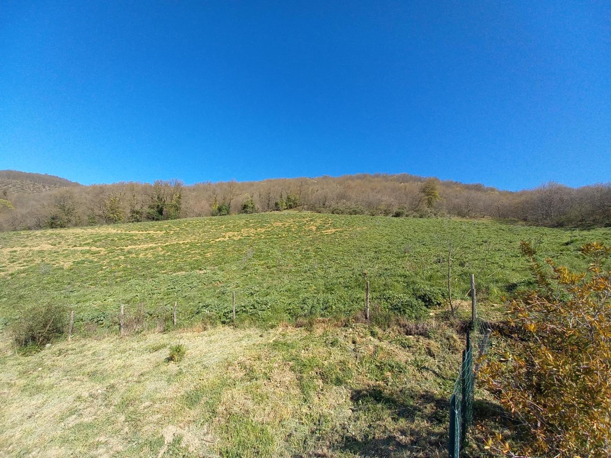Casa Vacanze La Venarella Sorano  Ruang foto