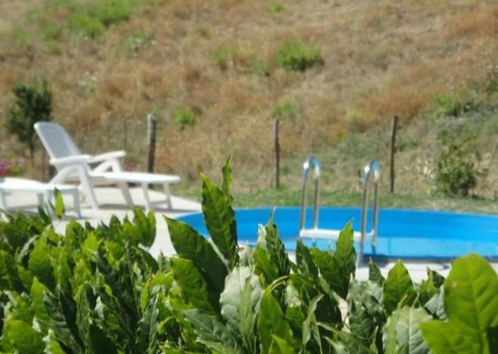 Casa Vacanze La Venarella Sorano  Ruang foto
