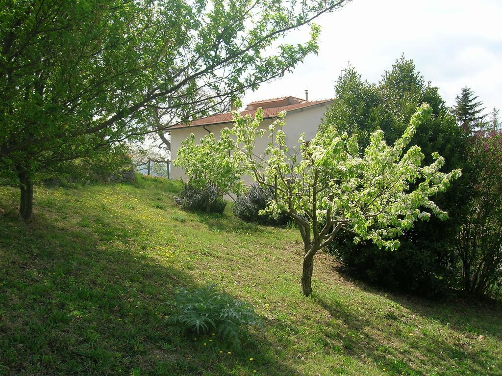 Casa Vacanze La Venarella Sorano  Ruang foto