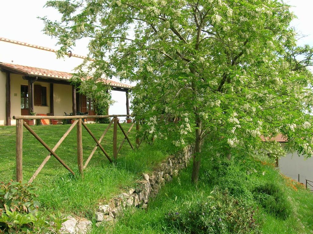 Casa Vacanze La Venarella Sorano  Ruang foto